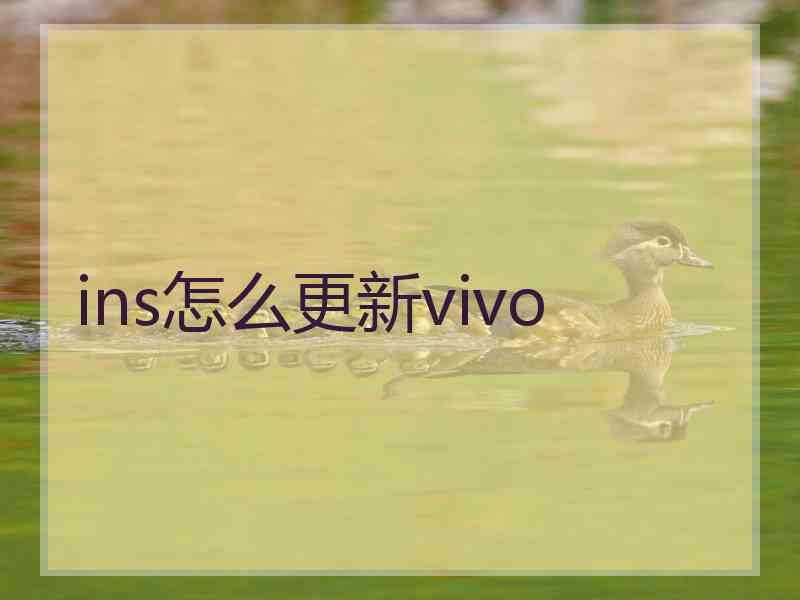 ins怎么更新vivo