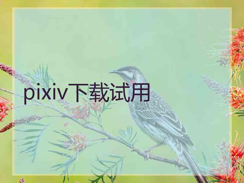 pixiv下载试用