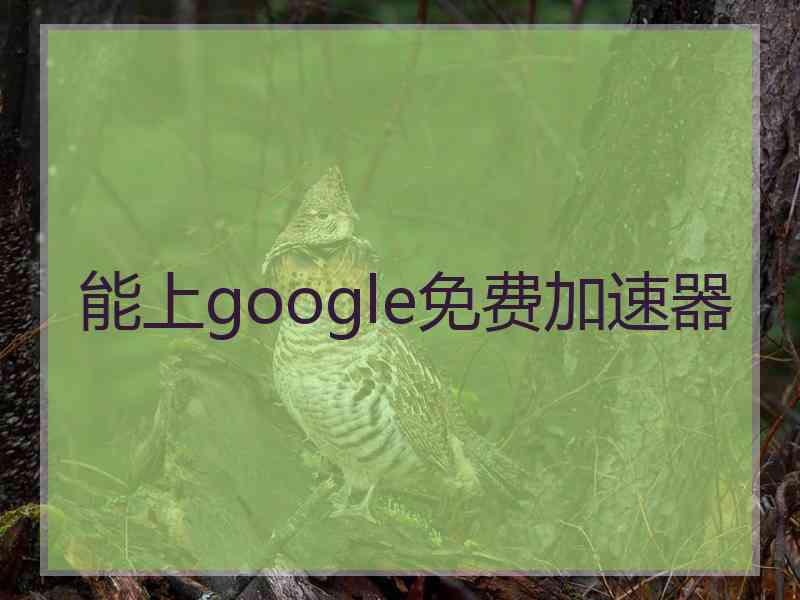 能上google免费加速器