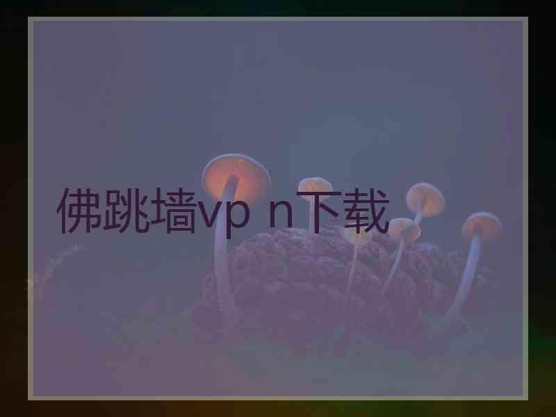 佛跳墙vp n下载