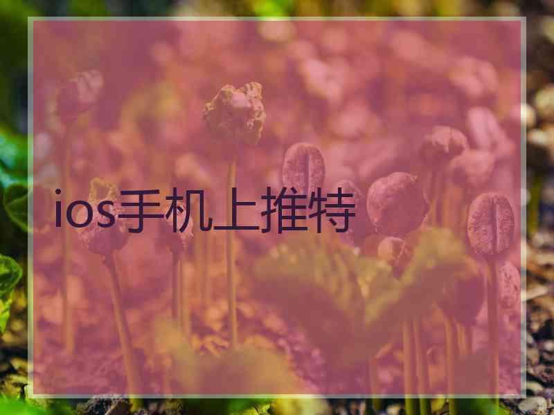 ios手机上推特