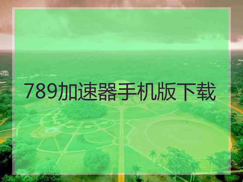 789加速器手机版下载