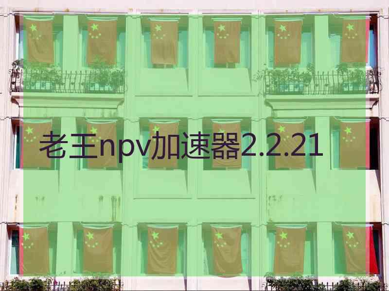 老王npv加速器2.2.21