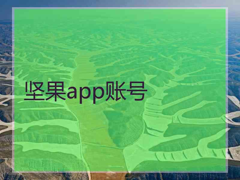 坚果app账号