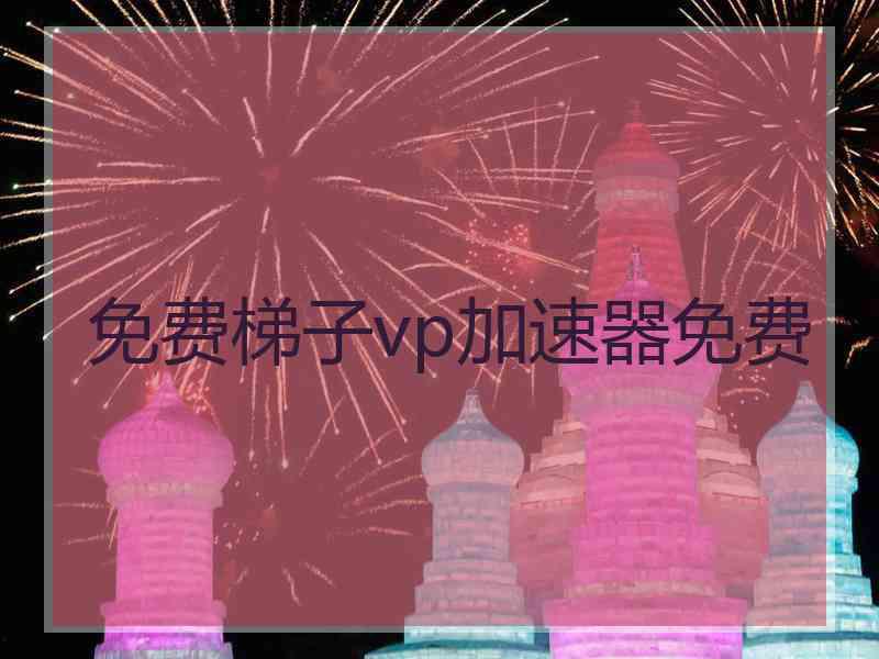 免费梯子vp加速器免费