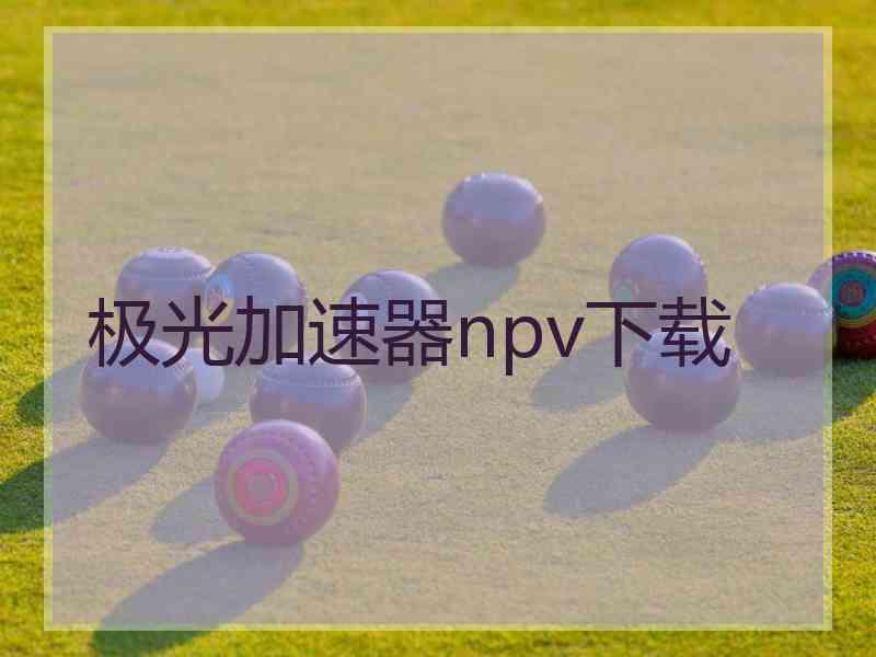 极光加速器npv下载