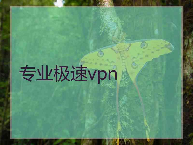 专业极速vpn