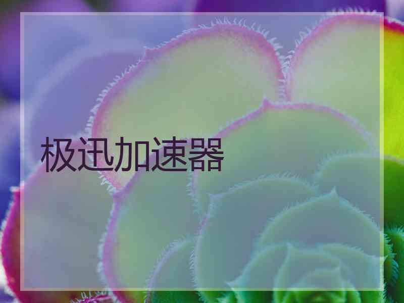 极迅加速器