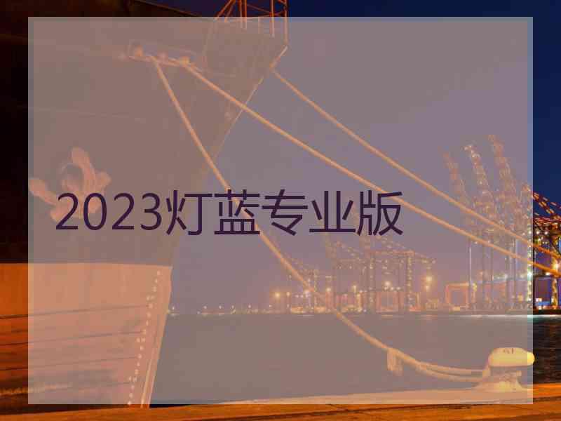 2023灯蓝专业版