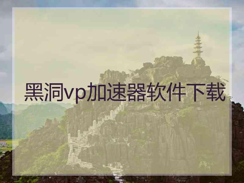 黑洞vp加速器软件下载