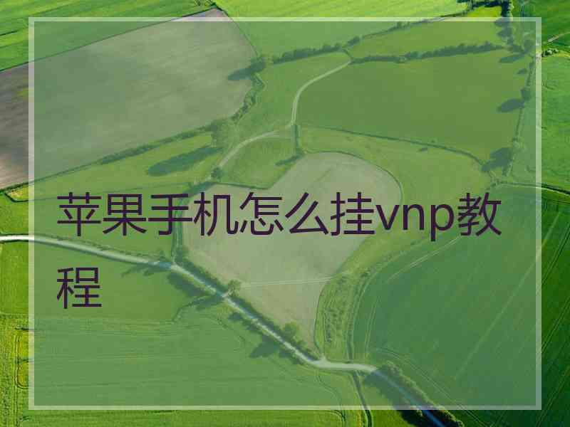 苹果手机怎么挂vnp教程