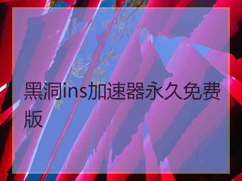 黑洞ins加速器永久免费版