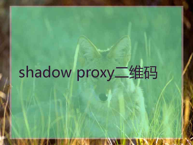 shadow proxy二维码