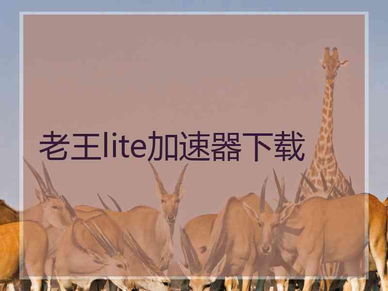 老王lite加速器下载