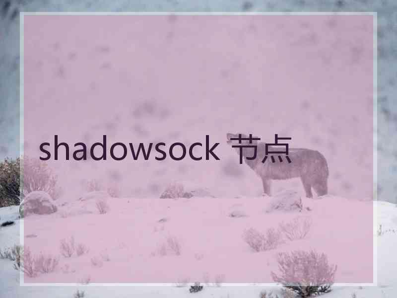 shadowsock 节点