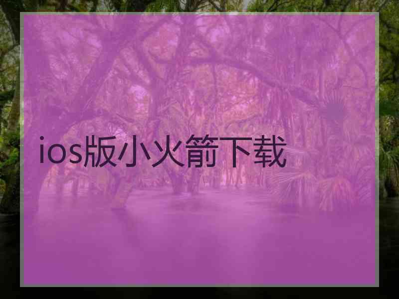 ios版小火箭下载