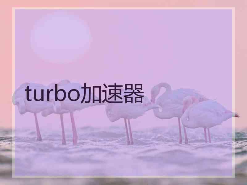 turbo加速器