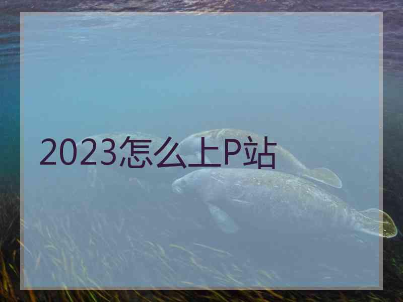 2023怎么上P站