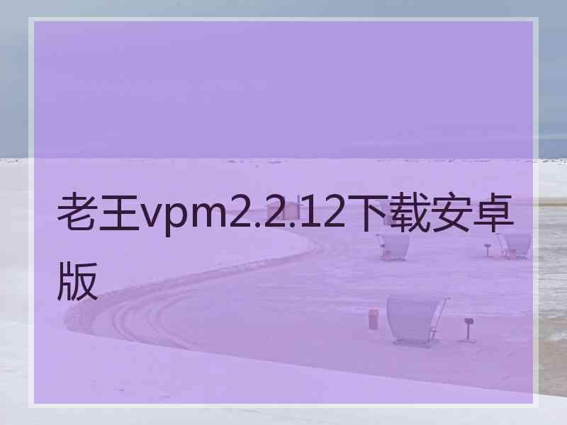 老王vpm2.2.12下载安卓版