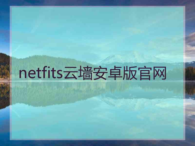 netfits云墙安卓版官网