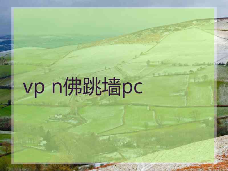 vp n佛跳墙pc