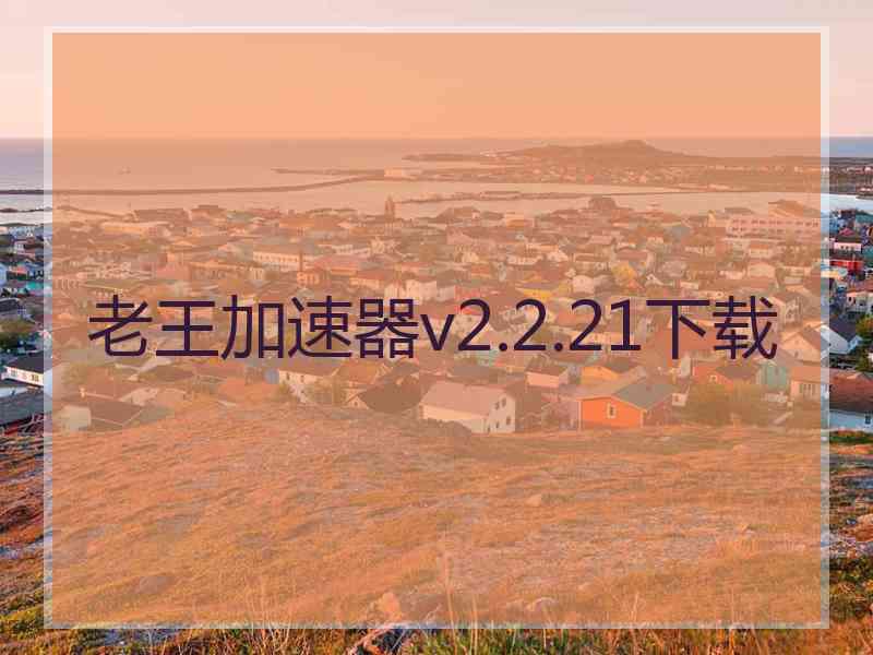 老王加速器v2.2.21下载