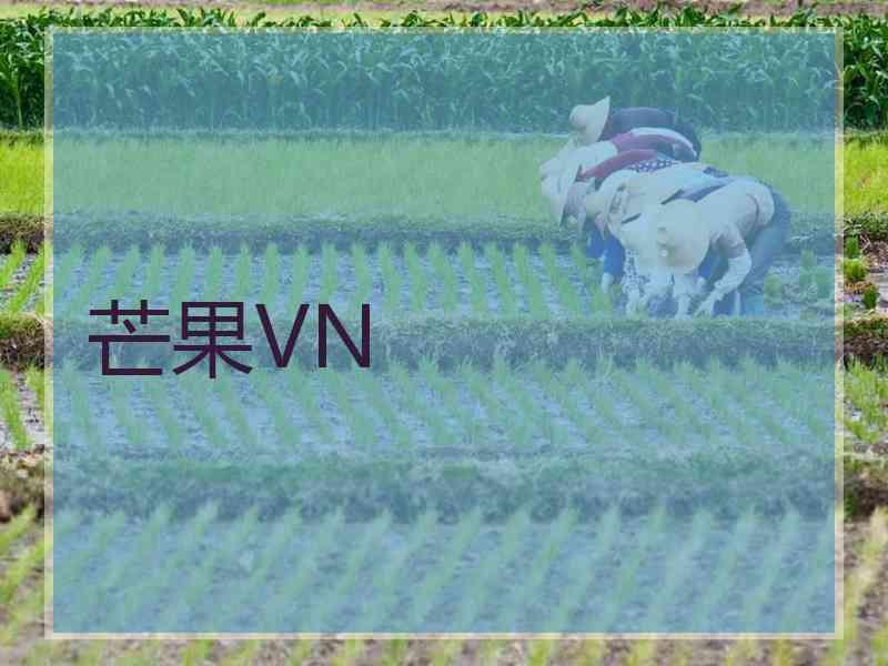 芒果VN