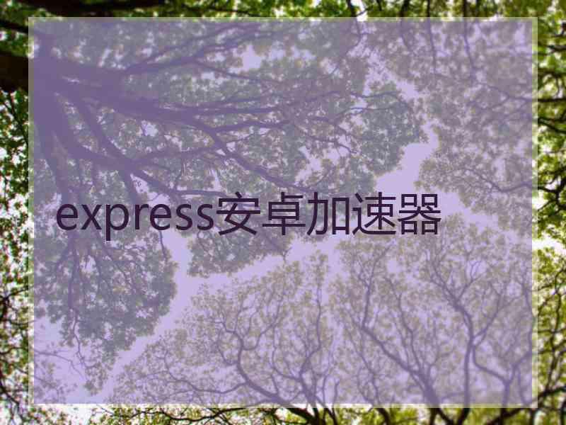 express安卓加速器