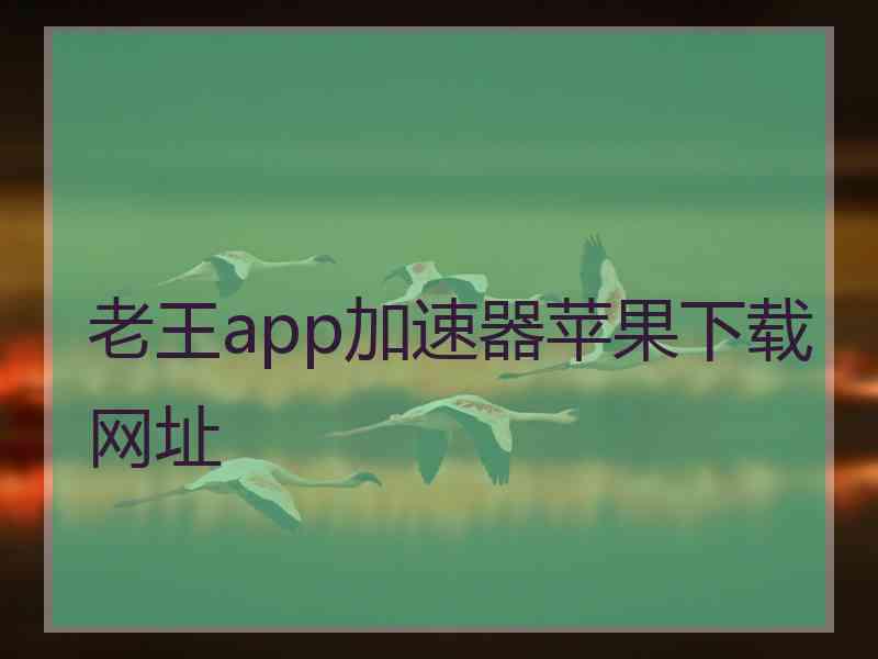 老王app加速器苹果下载网址