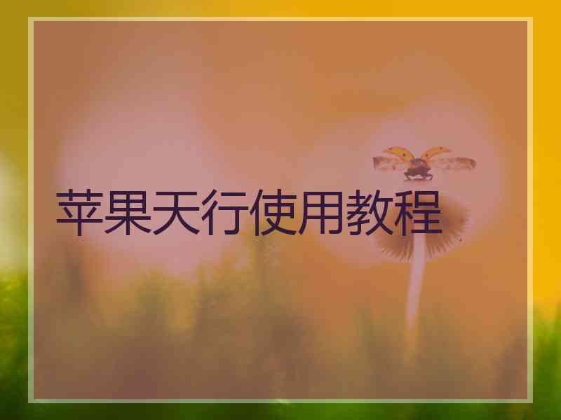 苹果天行使用教程