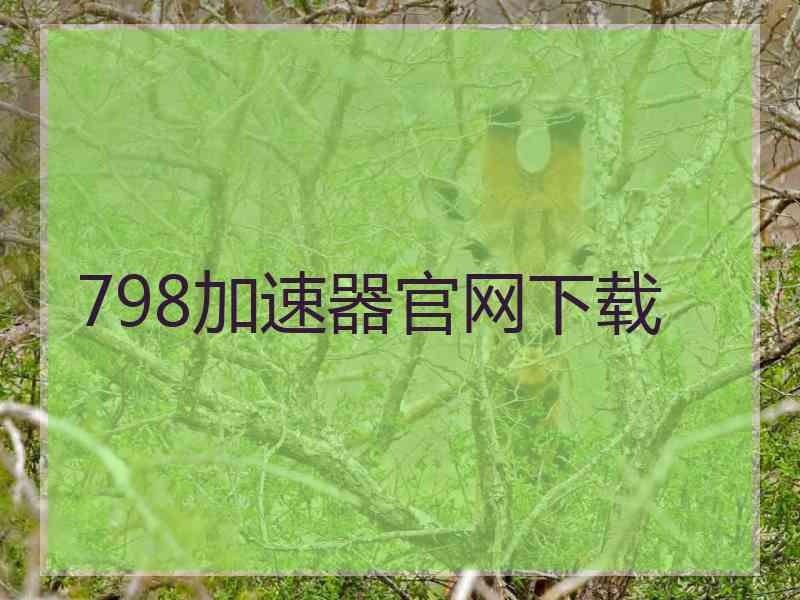 798加速器官网下载