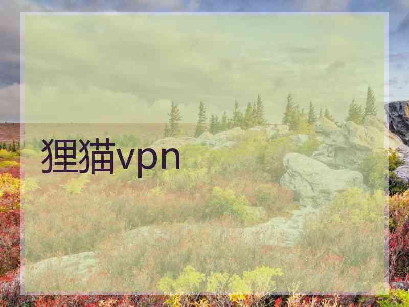 狸猫vpn