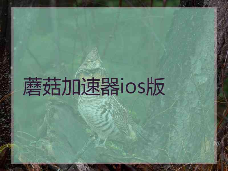 蘑菇加速器ios版