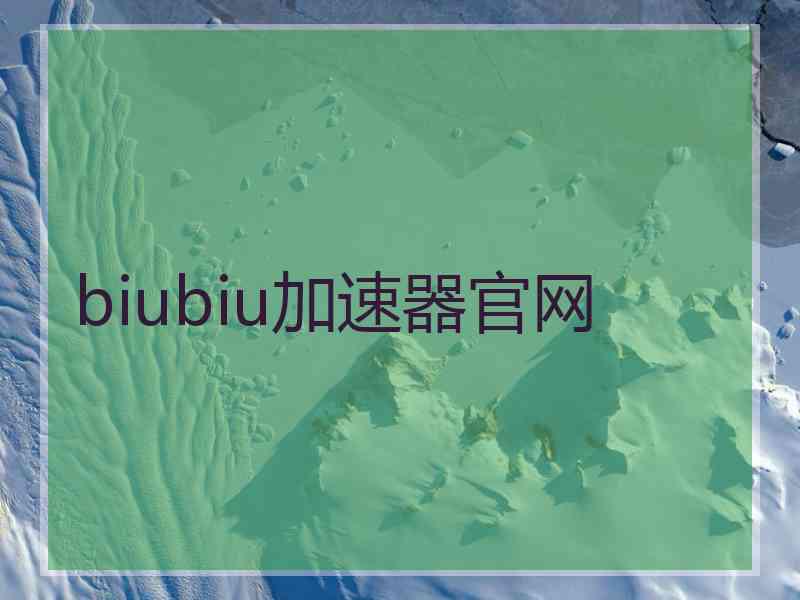 biubiu加速器官网