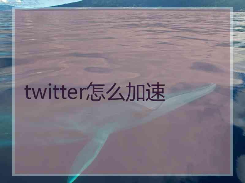 twitter怎么加速