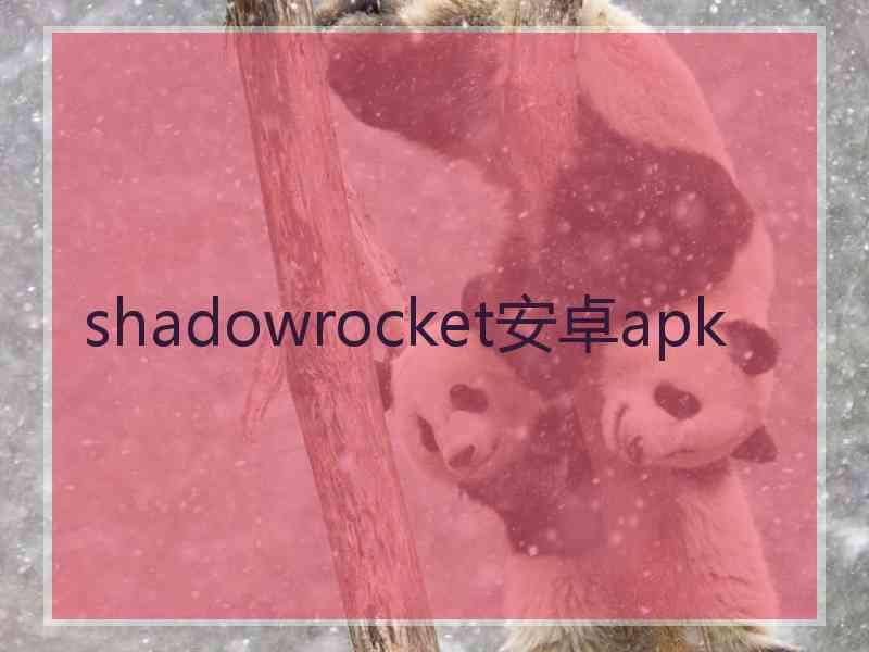 shadowrocket安卓apk