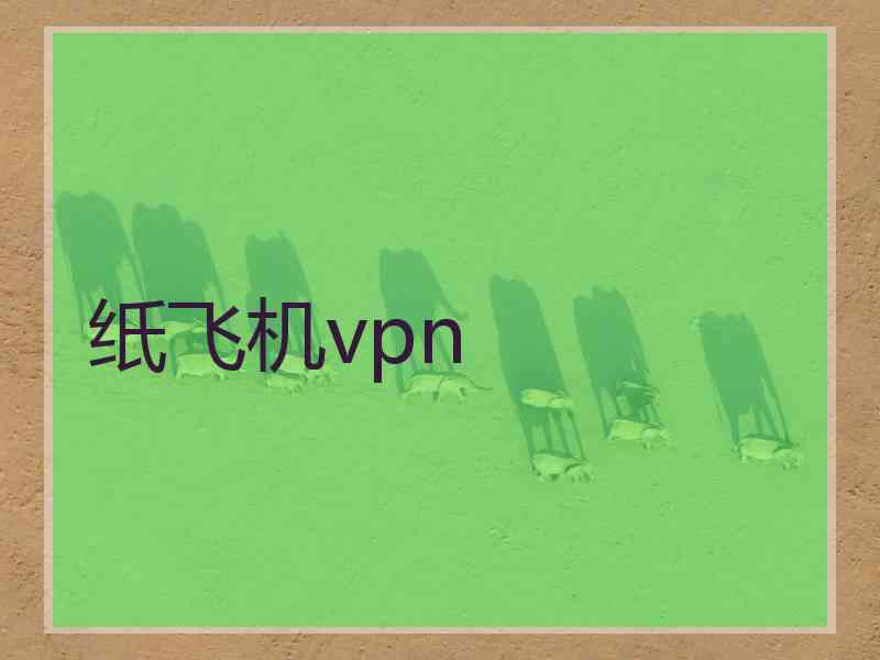 纸飞机vpn