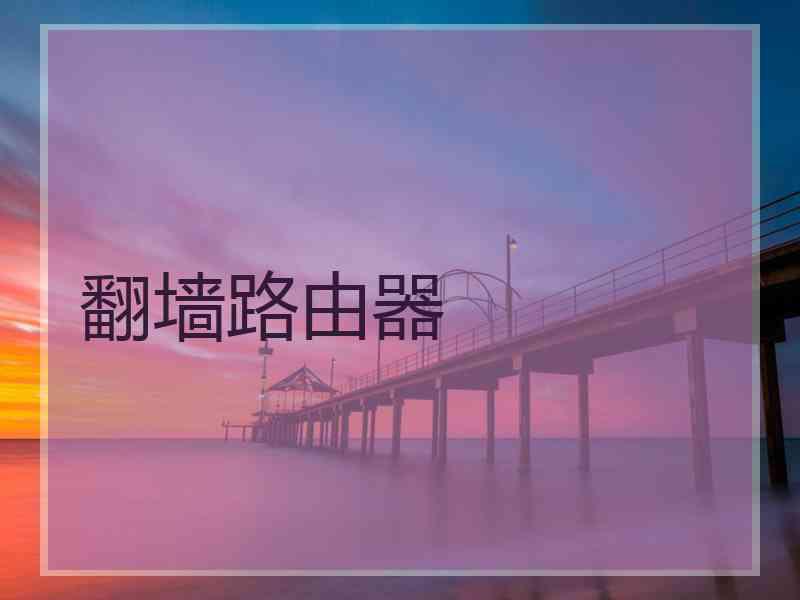 翻墙路由器