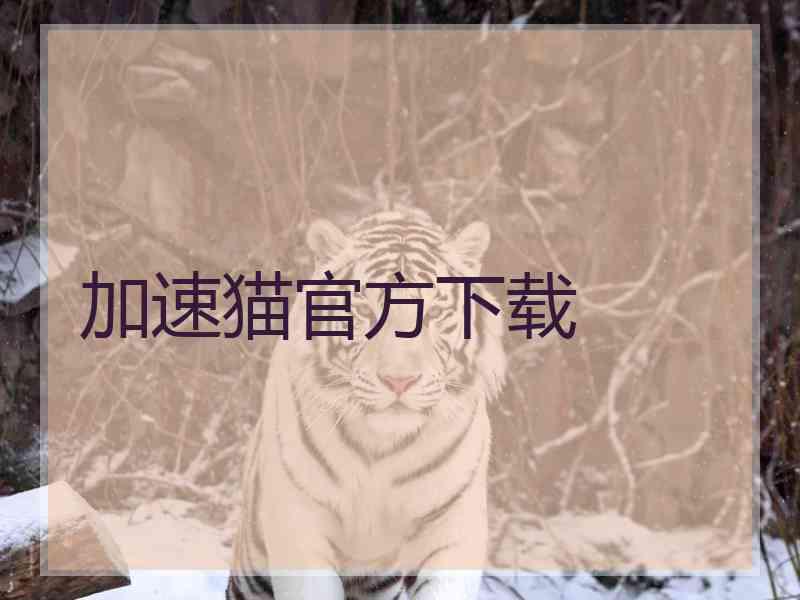 加速猫官方下载