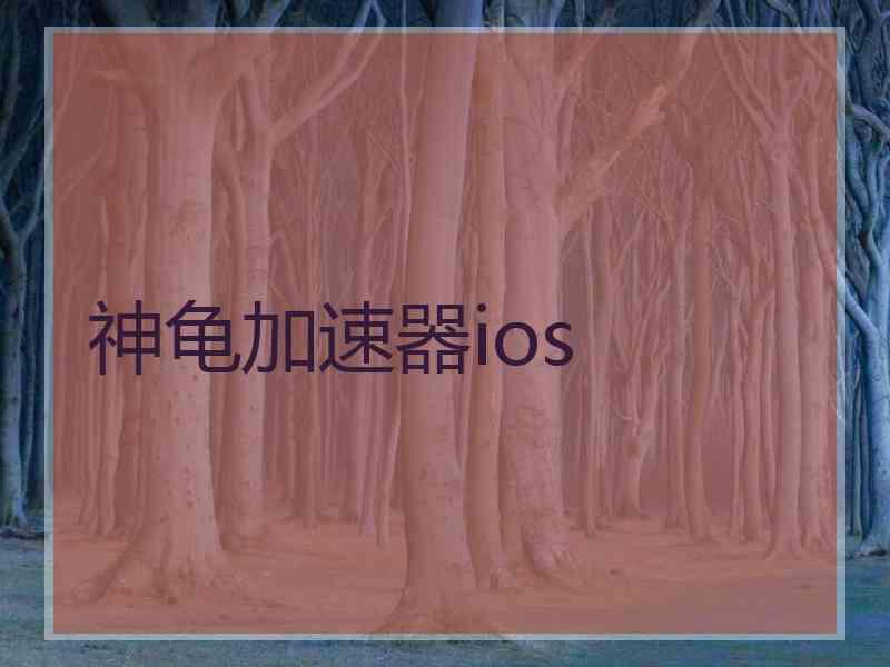 神龟加速器ios