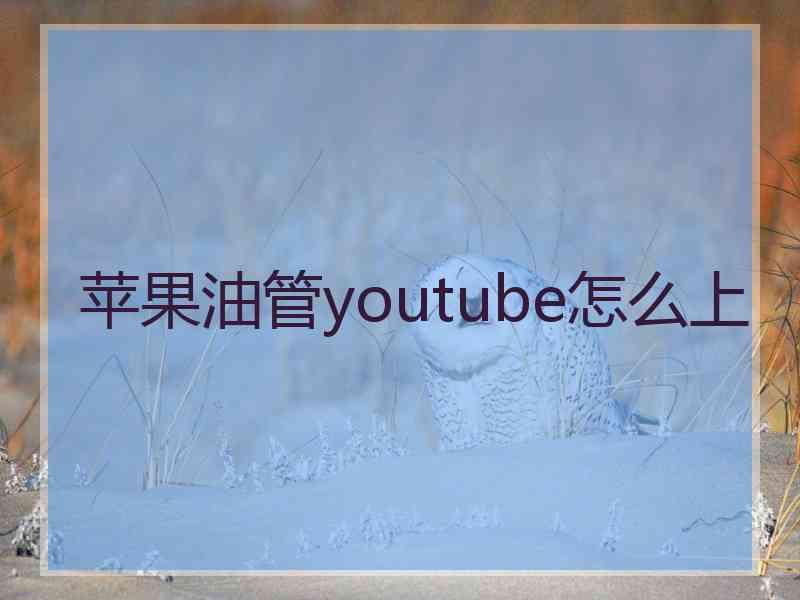 苹果油管youtube怎么上