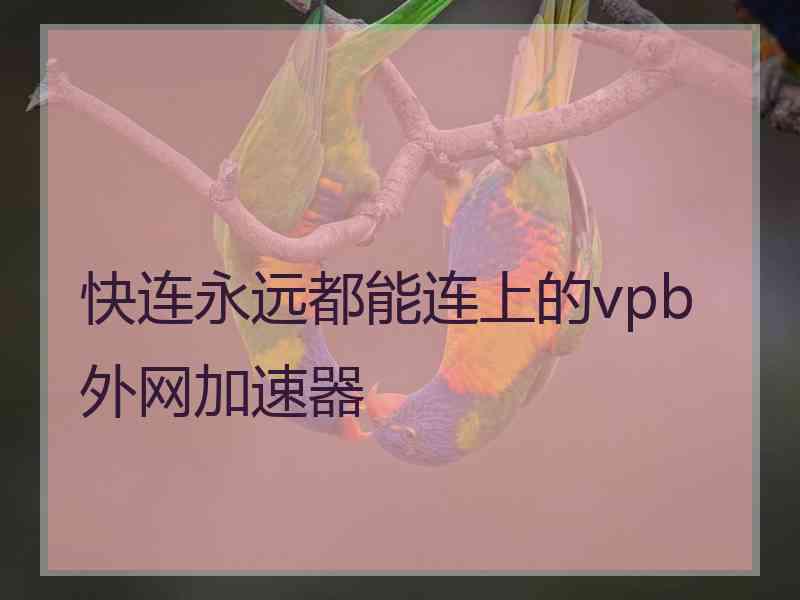 快连永远都能连上的vpb外网加速器