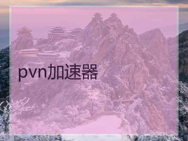 pvn加速器