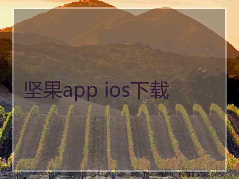 坚果app ios下载