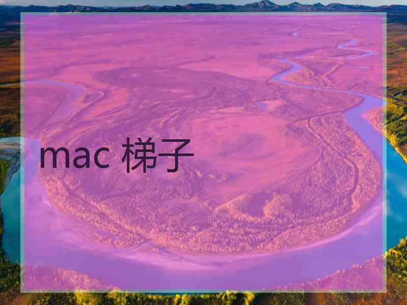 mac 梯子