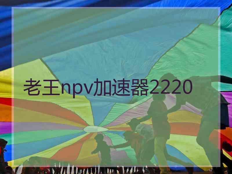 老王npv加速器2220