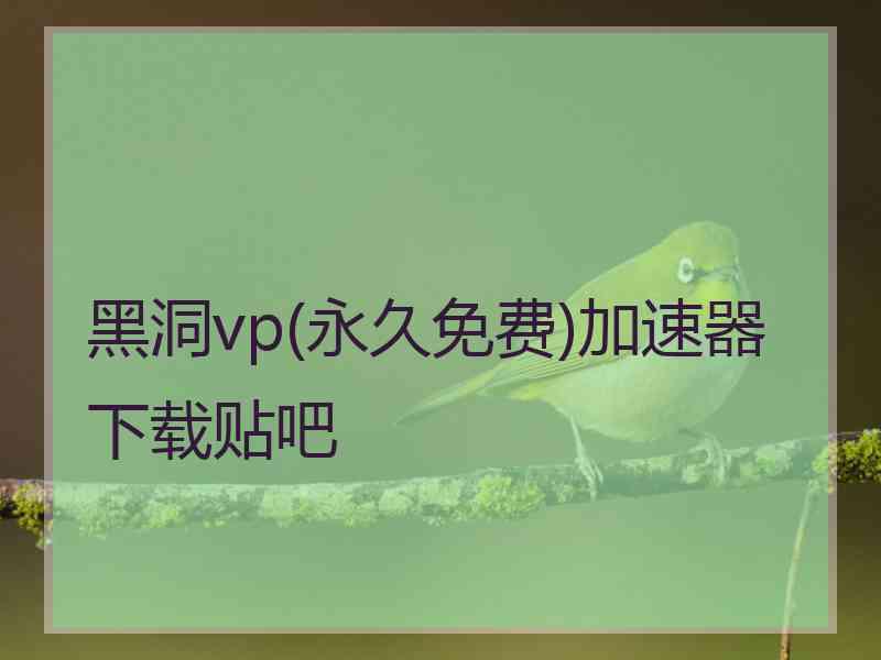 黑洞vp(永久免费)加速器下载贴吧