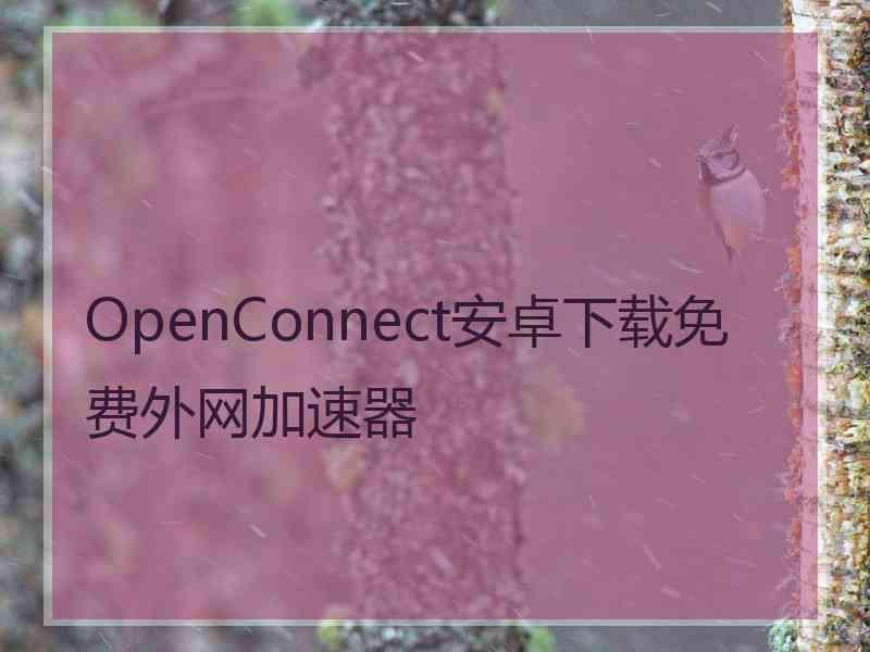 OpenConnect安卓下载免费外网加速器