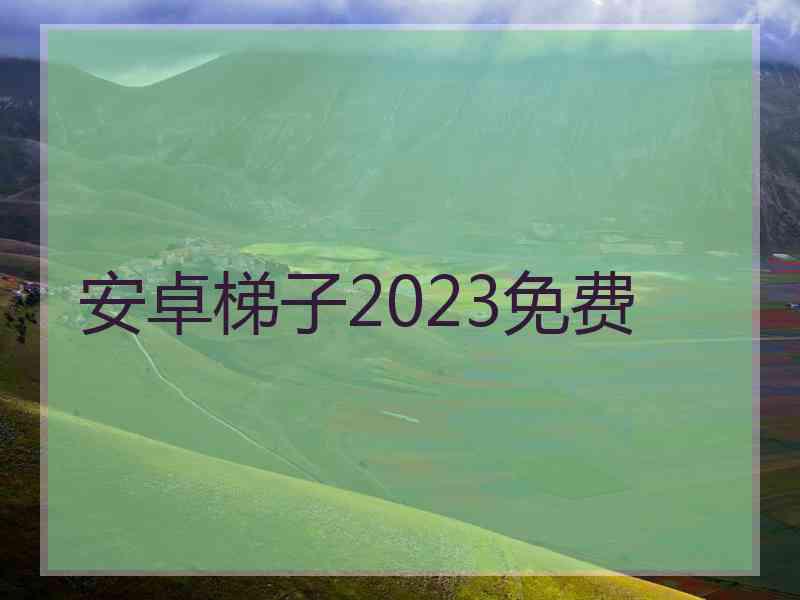 安卓梯子2023免费