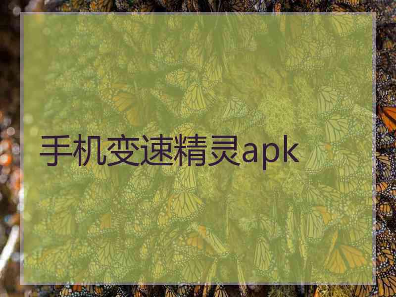 手机变速精灵apk